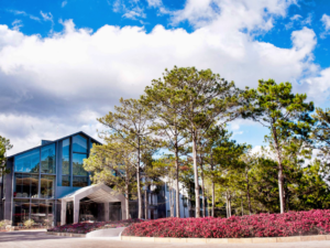 terracotta hotel resort dalat